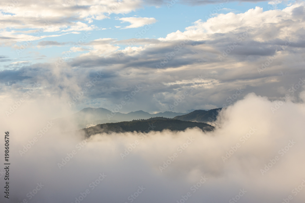 Fototapeta premium Misty