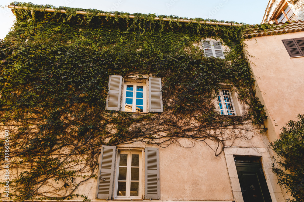 bottom view of ancient building facade covered with vine, Cannes, France