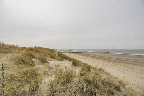 Fototapeta Naklejka Na Ścianę i Meble -  Beautiful View towards Grass Dunes with Ships passing by at Domburg Beach / Netherlands