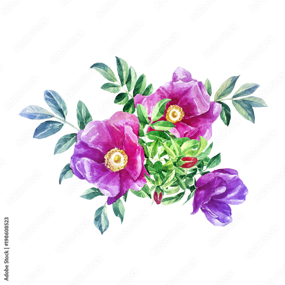 Bouquet of watercolor rose hip flowers isolated on white background.