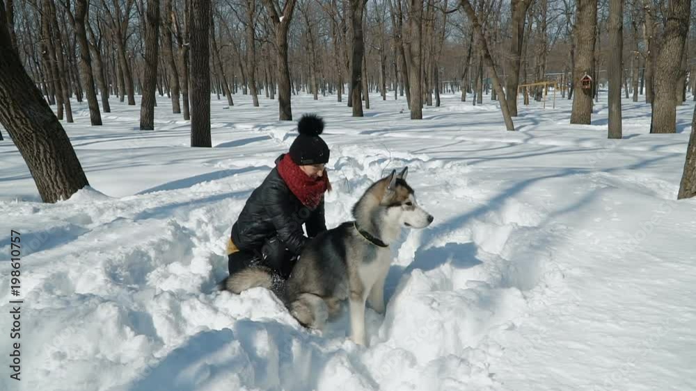 Beautiful girl playing with malamute dog on the snow outdoors in slow motion. Girl putting snow on dogs head. Beautiful girl playing with malamute dog on the snow outdoors in slow motion. Girl putting snow on dogs head.