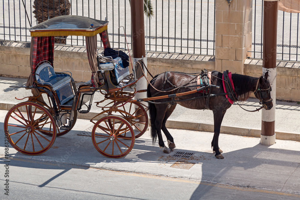 Horse carriage tours in Valletta