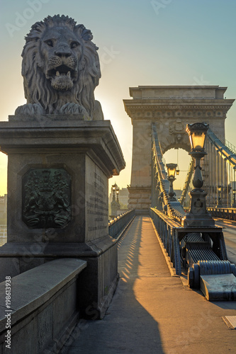 Lion monument on Chain bridge, Budapest, Hungary