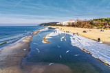 Strand Misdroy Ostsee Vogel