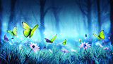 Fairy Butterflies In Mystic Forest 