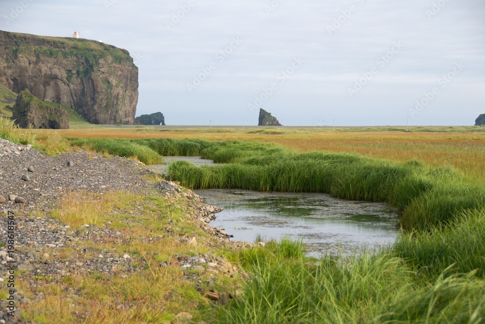 Weite grüne Landschaft auf Island