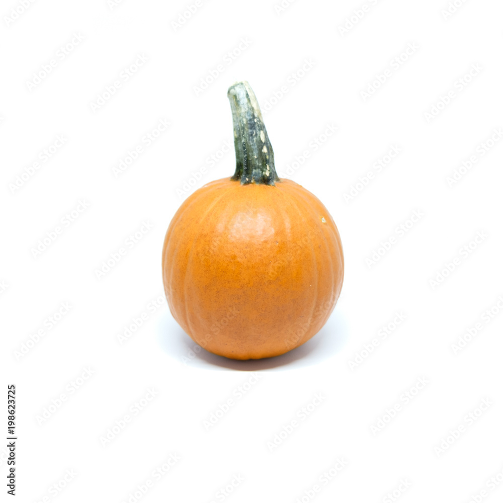 Obraz premium Pumpkin