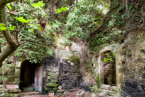 Fototapeta Naklejka Na Ścianę i Meble -  Ruins of house in forest