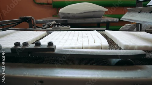 Conveyor for the production of sugar at the sugar refinery