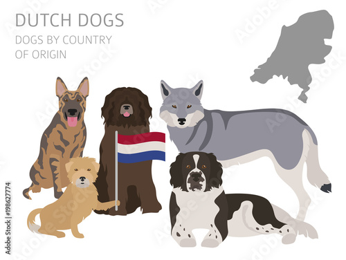 Dogs by country of origin. Dutch (Holland) dog breeds. Infographic template