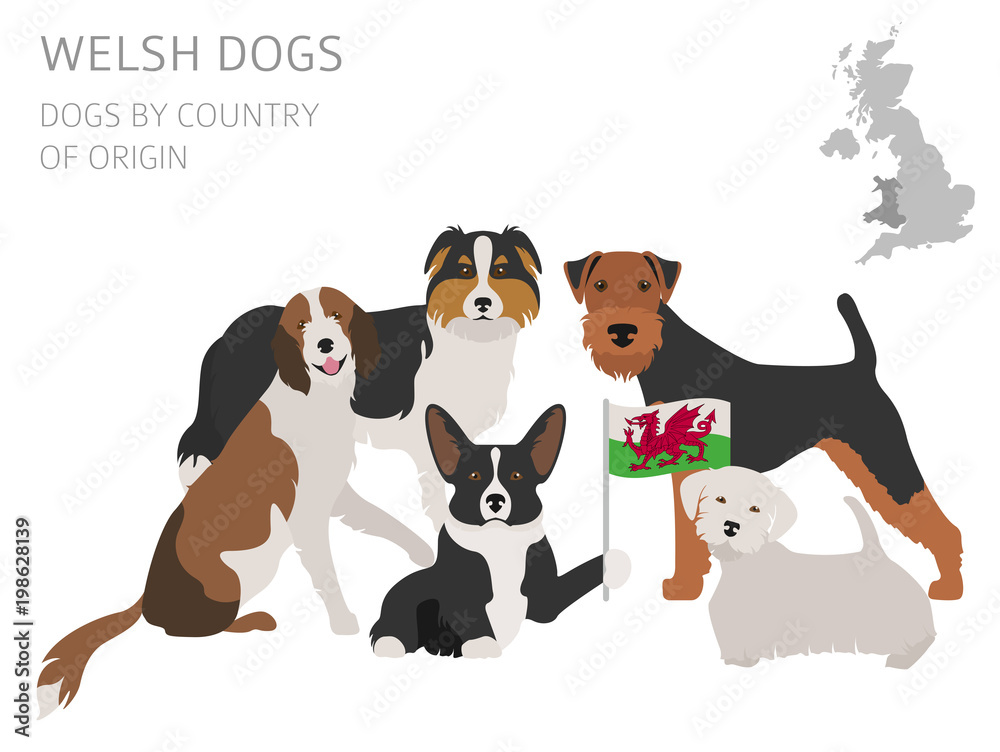 Dogs by country of origin. Walsh dog breeds. Infographic template