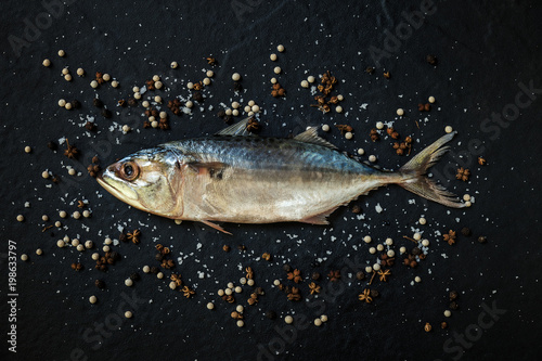 Fresh, raw mackerel on a black background.