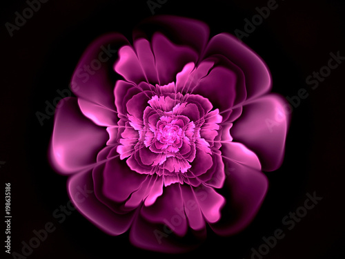 abstract flower fractal shape