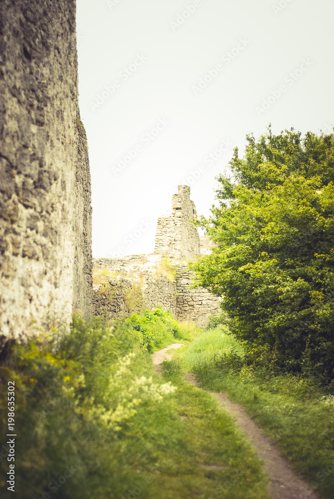 Fototapeta premium old castle