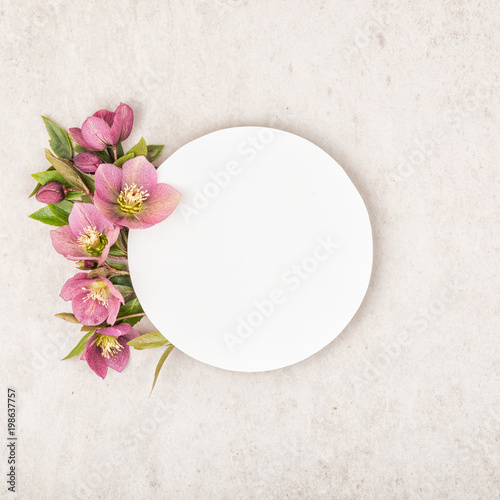 Creative layout with purple colorful flowers, green leaves and circle paper note card on stone beige background. Flat lay, top view and copy space. Minimal nature concept