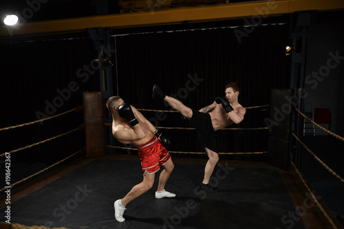 Indoor shot of professional young European male mixed fighters with naked torso boxing on ring: male in black shorts reaching out leg, going to kick his enemy in red trousers right in his face