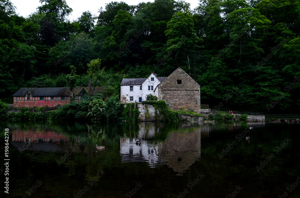 Peaceful Riverside