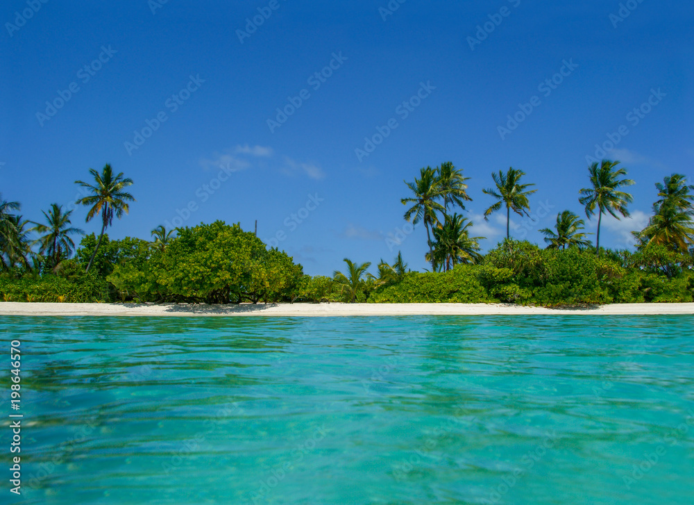 Beautiful tropical Maldives island with beach, ocean and coconut palm tree on blue sky for nature holiday vacation background concept. Stunning blue waters. Sandy white beach with turquoise sea.