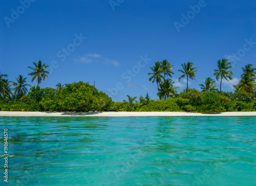 Beautiful tropical Maldives island with beach, ocean and coconut palm tree on blue sky for nature holiday vacation background concept. Stunning blue waters. Sandy white beach with turquoise sea. © boitano