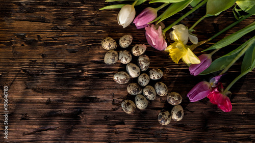 Easter background, spring flowers and colorful Easter eggs on wood