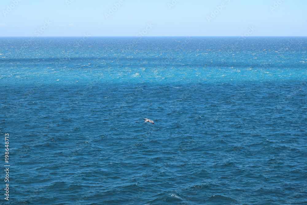 View of sea landscape