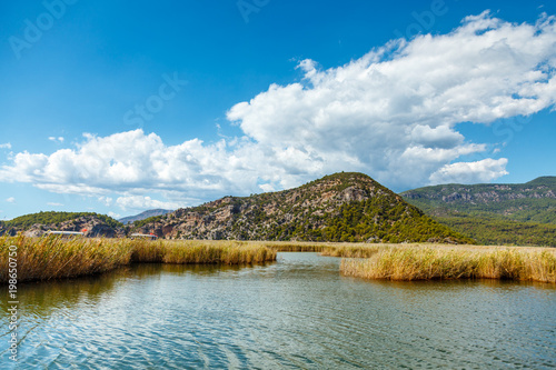 Magnificent landscape on the lake Koycegiz. Canes. The blue cloudy sky. Turkey