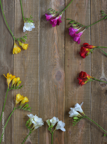 Spring background. Fresh colorful freesia flowers in the shape of egg on wooden background. Happy Easter. Spring is coming. 