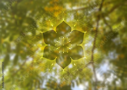 Template of banner, horizontal format; Spiritual sacred geometry; "Flower of life" and lotus on psychedelic natural forest photographic background; Yoga, meditation and relax.
