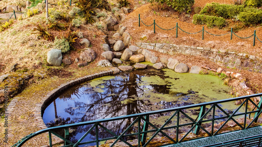 Obraz premium Picturesque little pond in the Cemetery at the Church of the Holy Rude in Stirling, Scotland, UK. Reflection of the sky and trees on the surface.