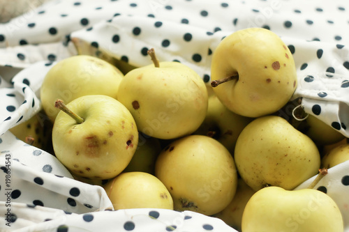 A bag full of ripe apples