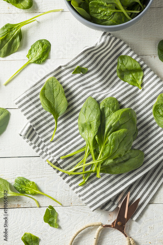 Raw Green Organic Spinach Leaves