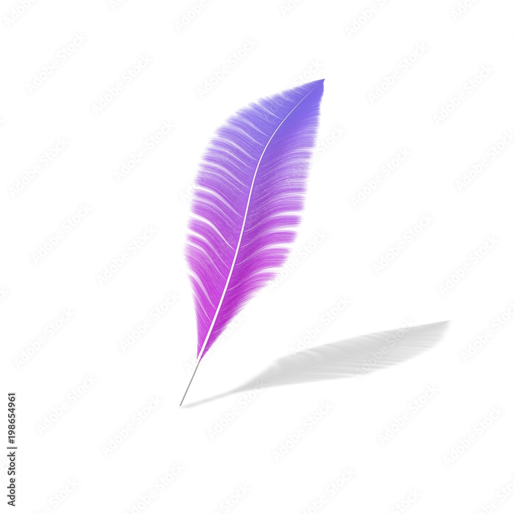 Fototapeta premium One feather on a white isolated background