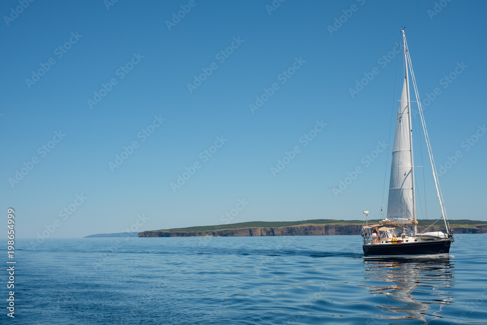 Obraz premium A sailboat coasting along in the calm coastal waters of Newfoundland.