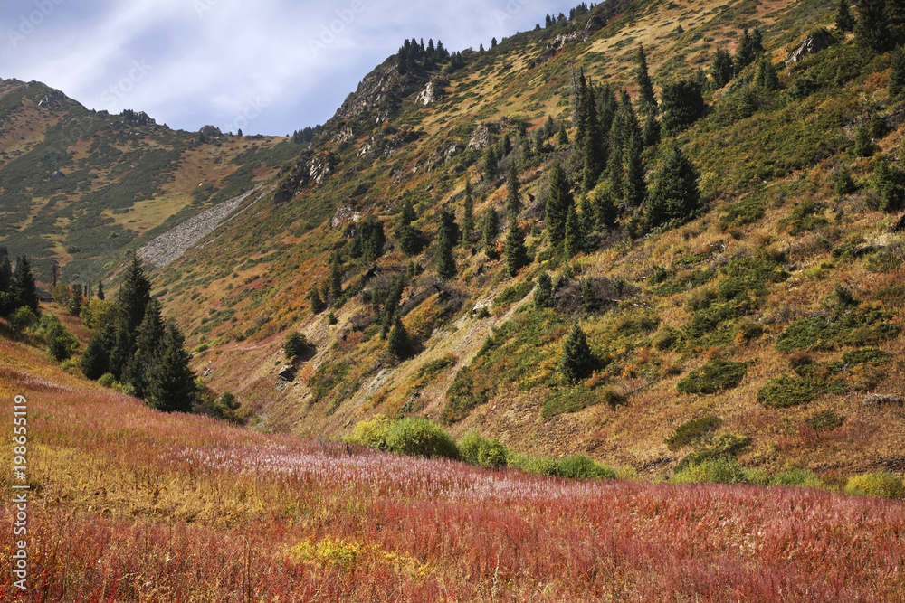 Naklejka premium Medeo valley. Kazakhstan