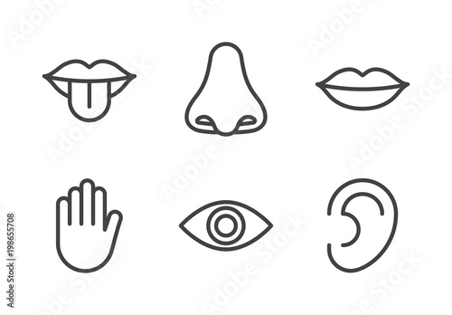 Outline icon set of five human senses: vision (eye), smell (nose), hearing (ear), touch (hand), taste (mouth with tongue). Simple line icons. Editable stroke. Vector illustration, eps10.