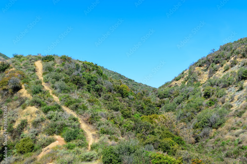 Thin or narrow trail up to top of ridge for hiking into forest