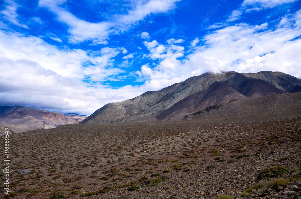 Fototapeta premium Desert