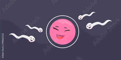 Cartoon vector illustration: Fertilization of the ovum by the spermatozoon. Sperm and cells in fertility process.