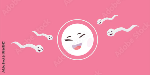 Cartoon vector illustration: Fertilization of the ovum by the spermatozoon. Sperm or spermatozoid and egg cells in fertility process.