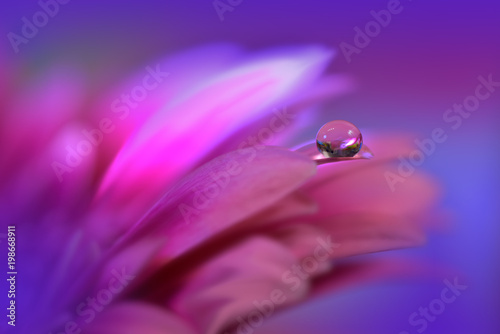 Beautiful macro shot of magic flowers. Border art design. Magic light.Extreme close up macro photography.Conceptual abstract image.Purple spring Background.Fantasy Art.