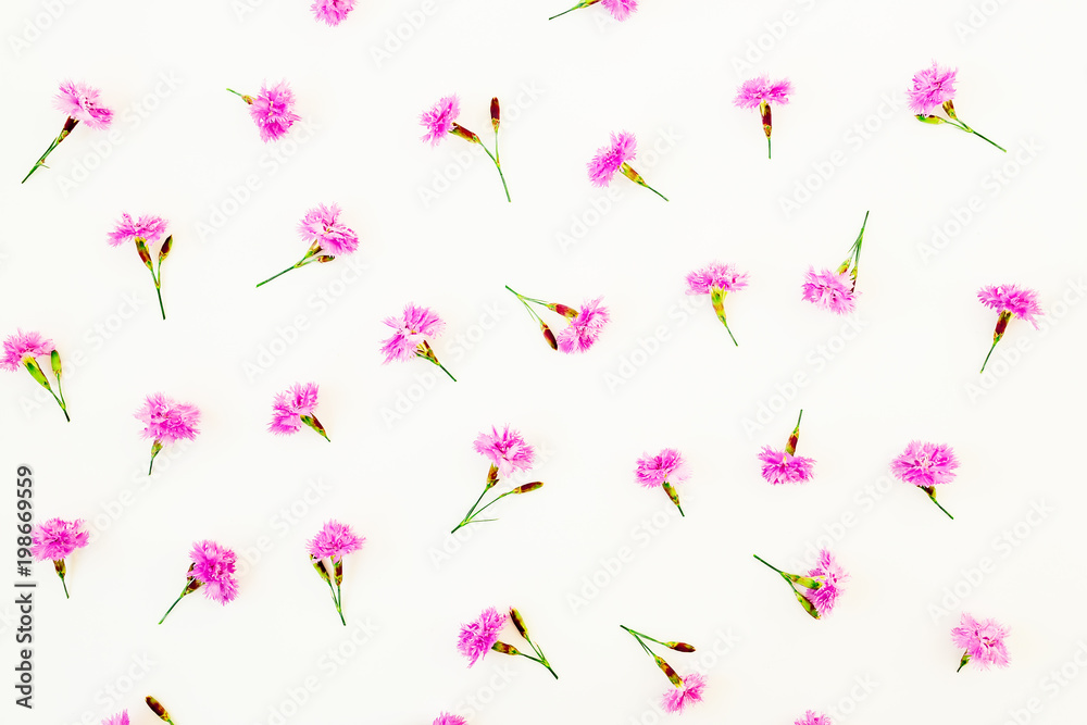 Pink flowers on white background. Flat lay, Top view. Flower texture.