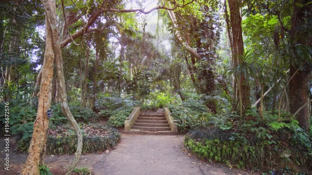 Ornate Concrete Steps in a Tropical Botanical Garden Ornate Concrete Steps in a Tropical Botanical Garden