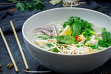 Vietnamese soup Pho GA