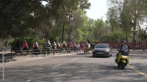 Wallpaper Mural Street and green trees Torontodigital.ca
