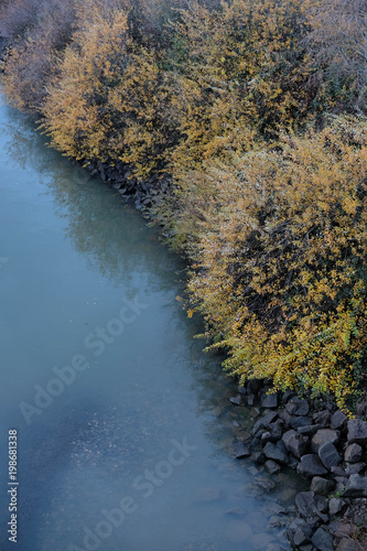 Fall colors on the Willamette River