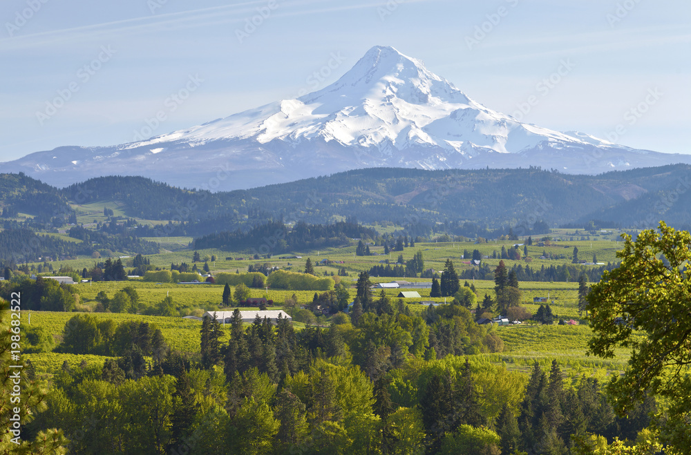 Mt. Hood and Hood River valley.