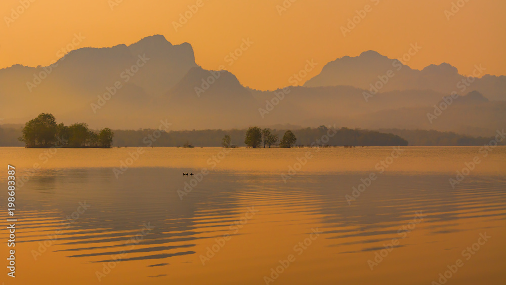 Landscape of lake with  little grebe bird