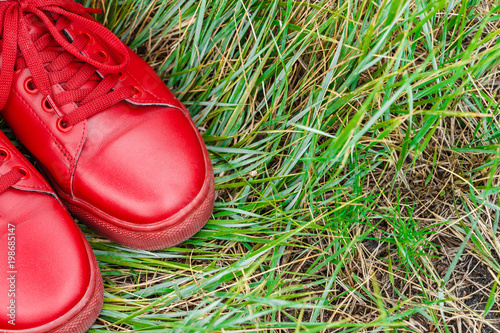 Stylish wallpaper with red sneakers and green grass. Season concept. Top view. Close up. © Лев Малевич
