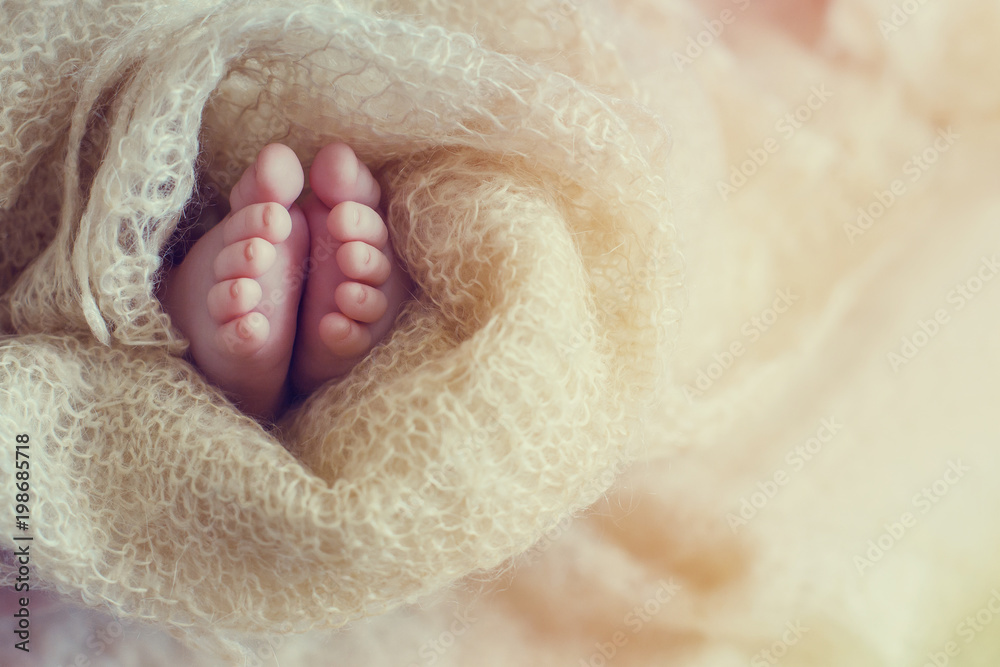 cute newborn baby feet wrapped comfortable fabric cute newborn baby feet wrapped comfortable fabric