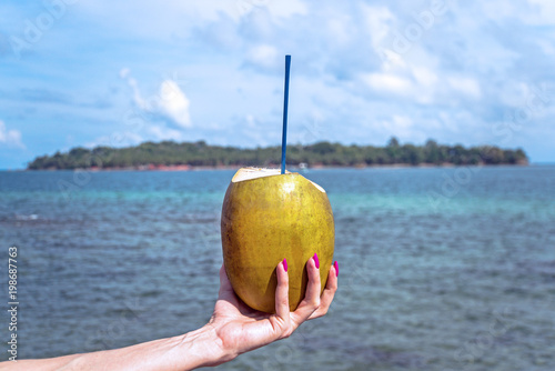 Obraz na plátně Fresh coconut cocktail in han